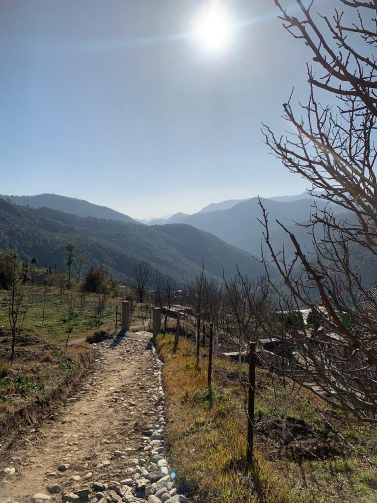 whatsapp image 2025 07 25 at 9.12.18 pm