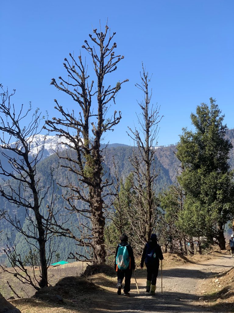 whatsapp image 2025 07 25 at 9.24.27 pm