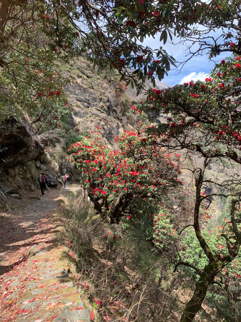 whatsapp image 2025 07 26 at 9.54.03 am