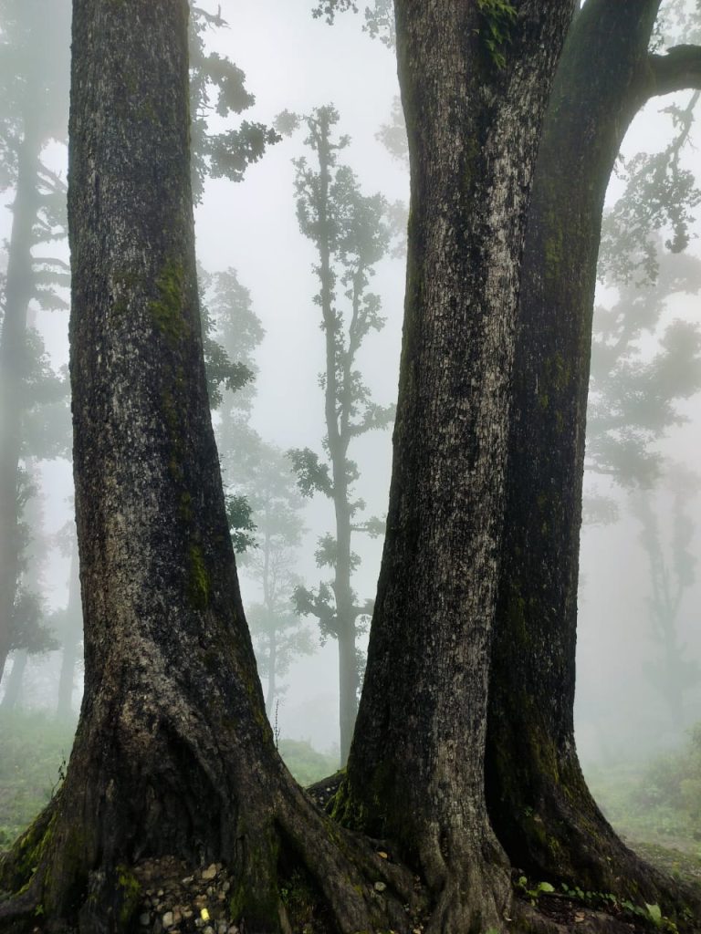 whatsapp image 2025 07 27 at 17.50.24 (1)