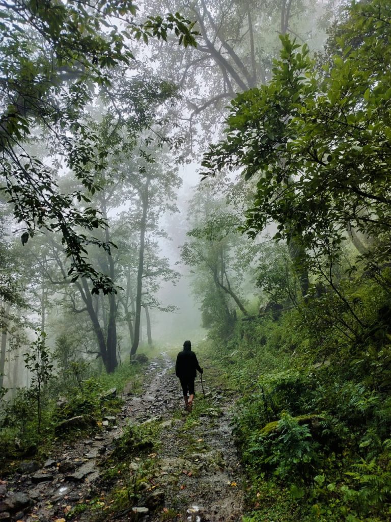 whatsapp image 2025 07 27 at 17.50.24