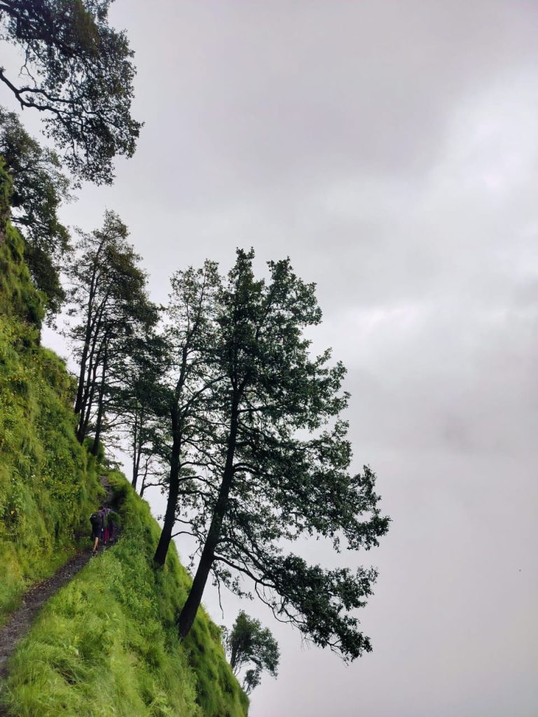 whatsapp image 2025 07 27 at 17.50.25 (1)