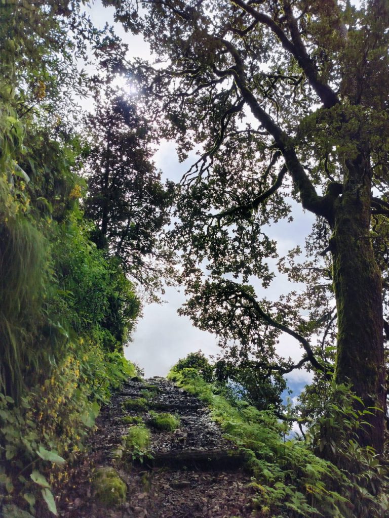 whatsapp image 2025 07 27 at 17.50.25