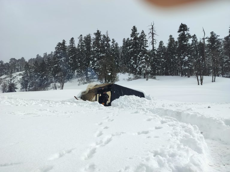 whatsapp image 2025 07 27 at 18.06.11