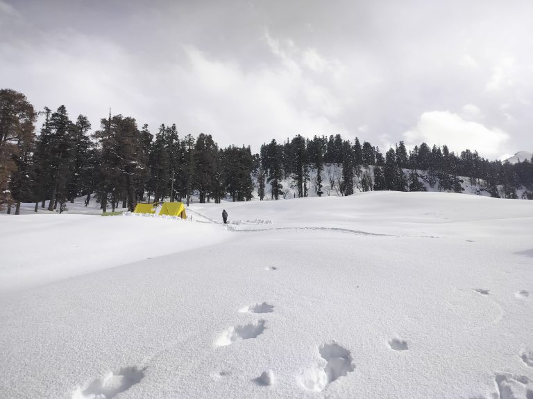 whatsapp image 2025 07 27 at 18.06.12 (1)