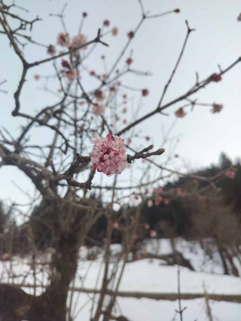 whatsapp image 2025 07 27 at 18.06.13 (1)