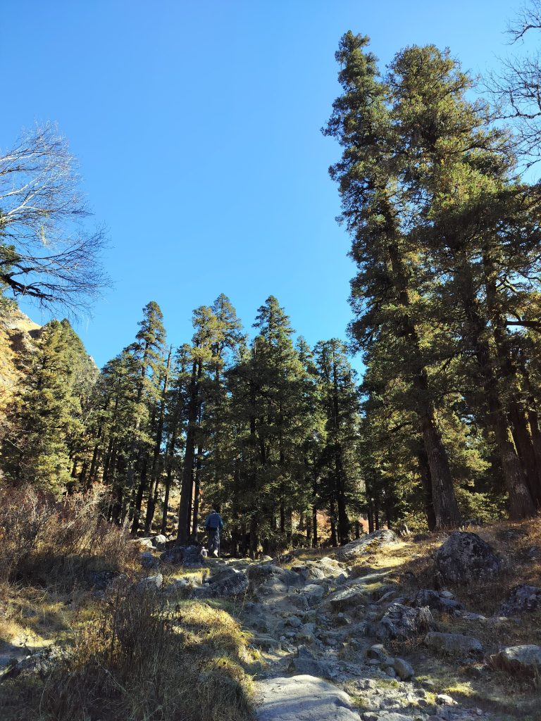 whatsapp image 2025 07 27 at 5.40.21 pm