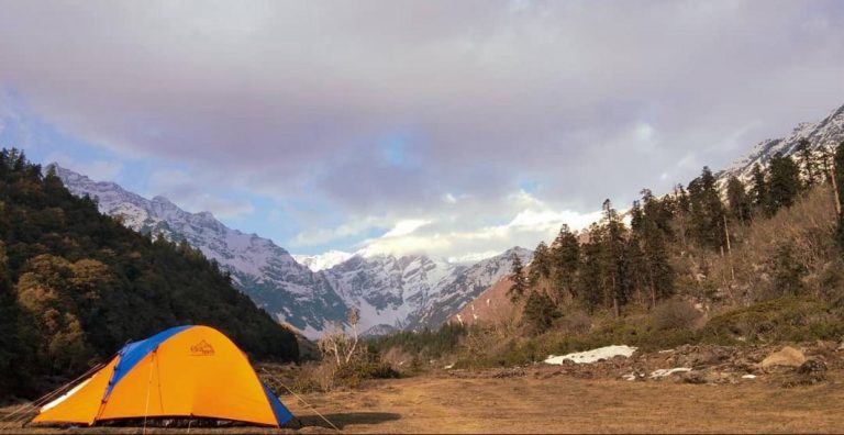 8daad76d 48b0 4e63 a85e 8ad358b8a3fc