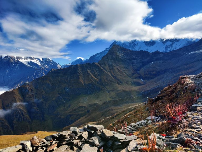 whatsapp image 2025 07 25 at 10.15.46 pm (1)