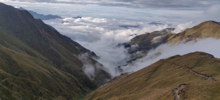 whatsapp image 2025 07 25 at 10.15.48 pm (1)