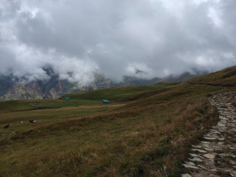 whatsapp image 2025 07 25 at 10.15.50 pm (2)