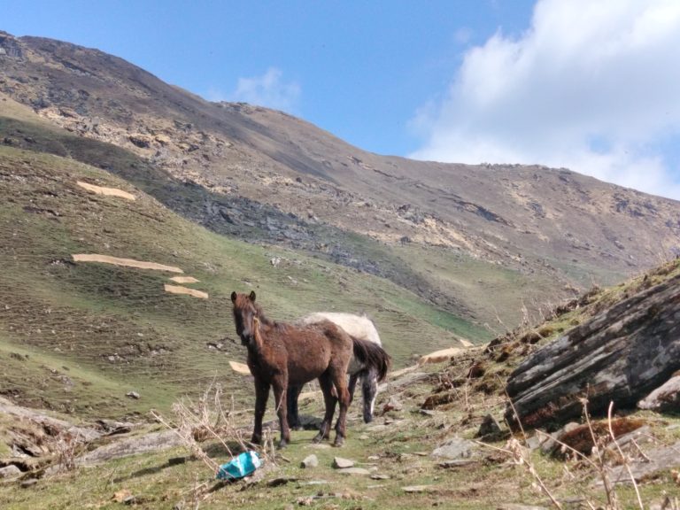 whatsapp image 2025 07 27 at 18.38.07 (1)