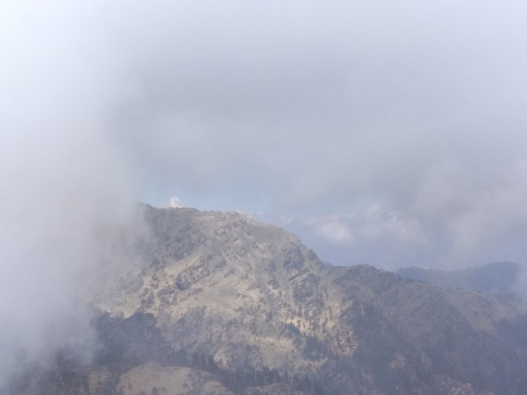 whatsapp image 2025 07 27 at 18.38.08