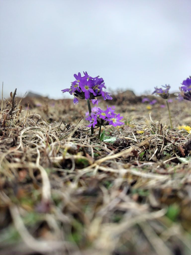 whatsapp image 2025 07 27 at 18.38.09