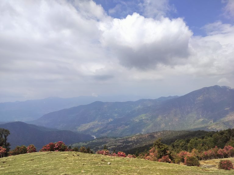 whatsapp image 2025 07 27 at 18.38.13 (1)