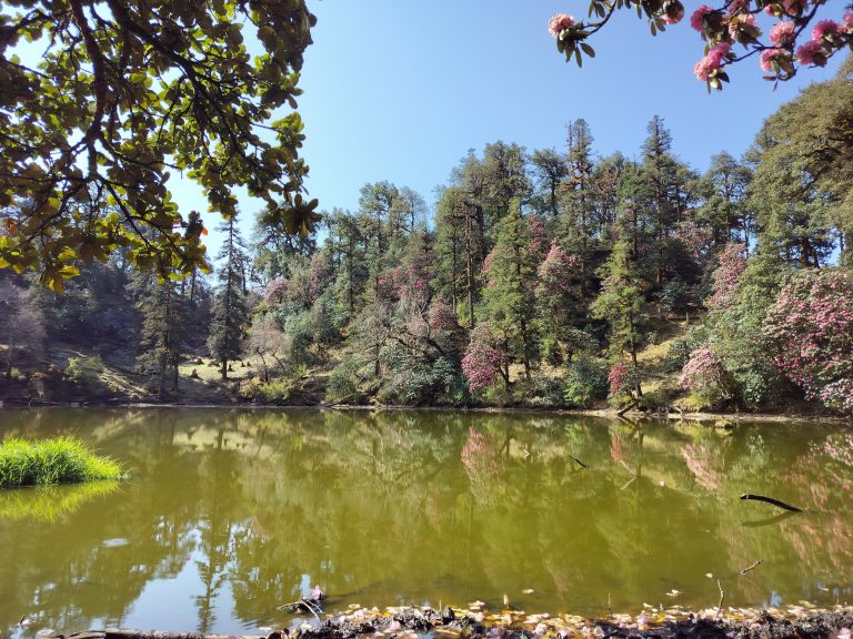 whatsapp image 2025 07 27 at 18.38.13