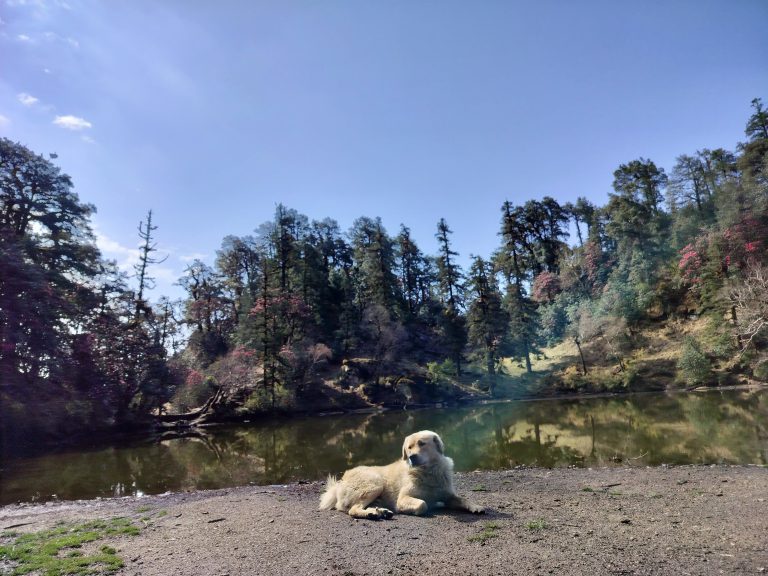 whatsapp image 2025 07 27 at 18.38.14