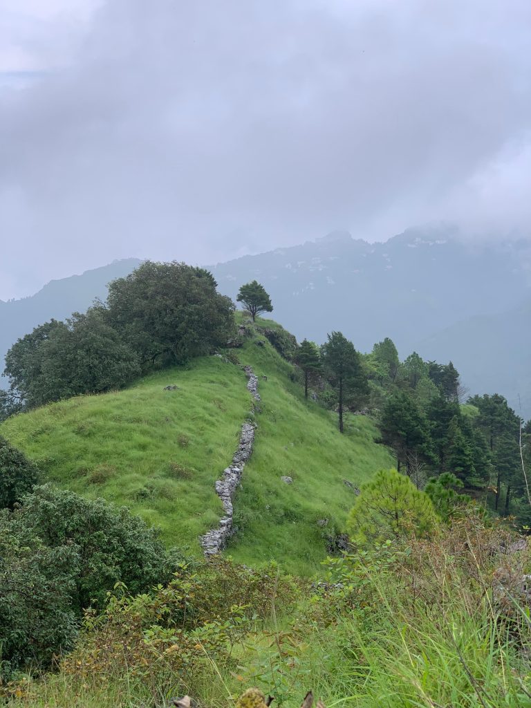 whatsapp image 2025 07 28 at 12.27.33