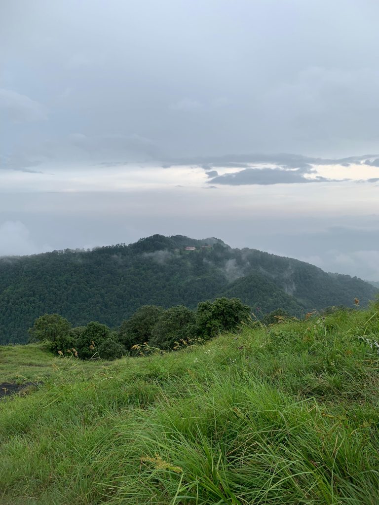 whatsapp image 2025 07 28 at 12.27.58