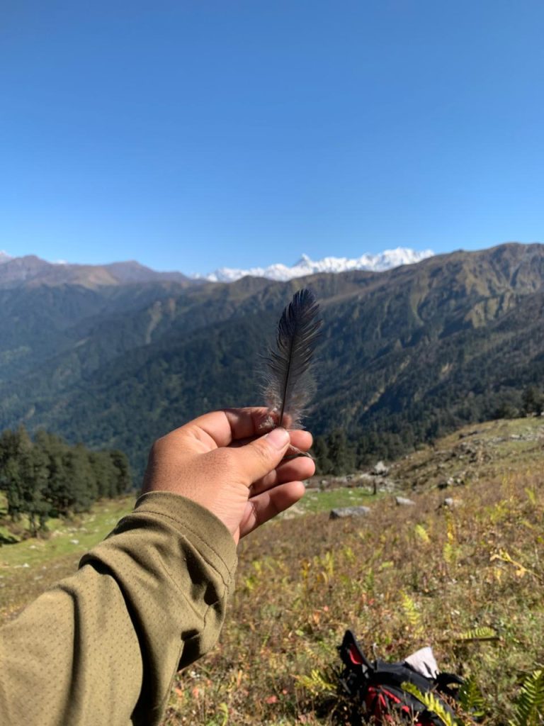 whatsapp image 2025 08 27 at 12.51.44 pm (1)