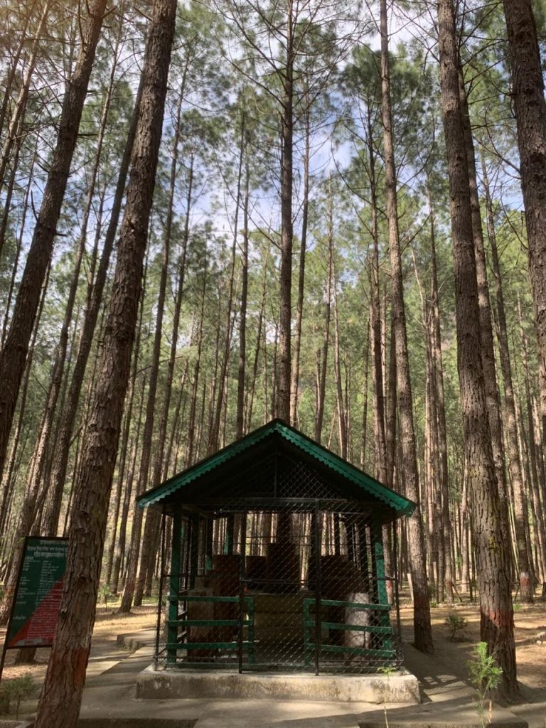 adee84b0 5fc3 4e5b 9cdd c4bcdb357b03